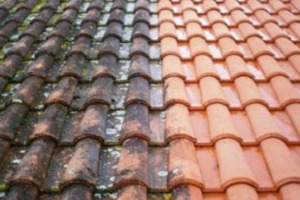 Démoussage de Toiture